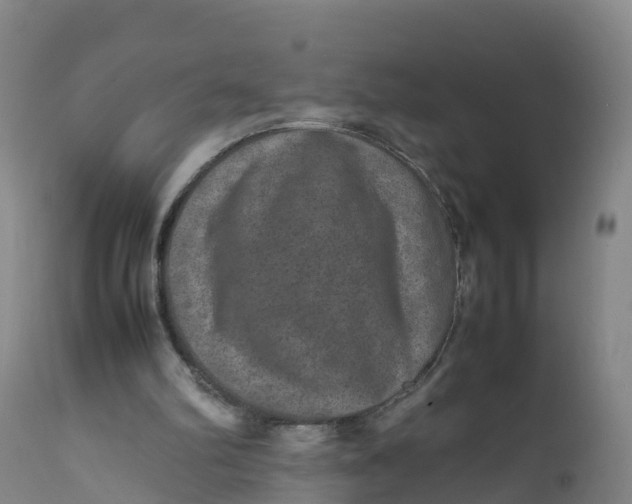 X0000111810102200908131508
