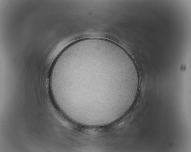 X0000111810103200908131508