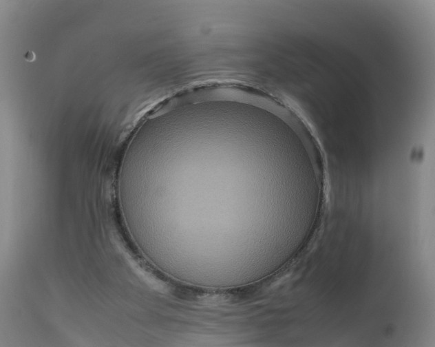 X0000111810105200908131508