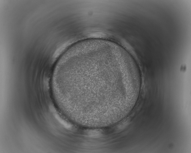 X0000111810106200908131508