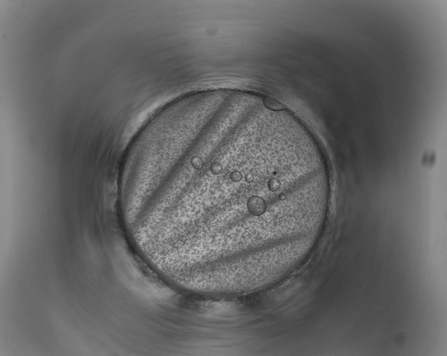 X0000111810107200908131508