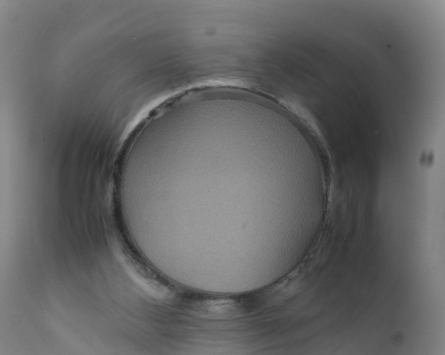X0000111810108200908131508
