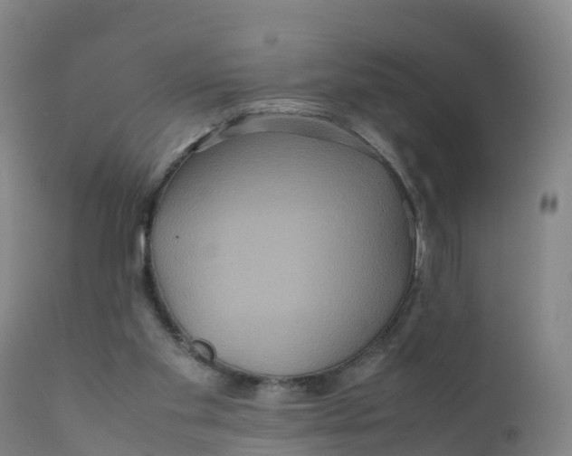 X0000111810109200908131508