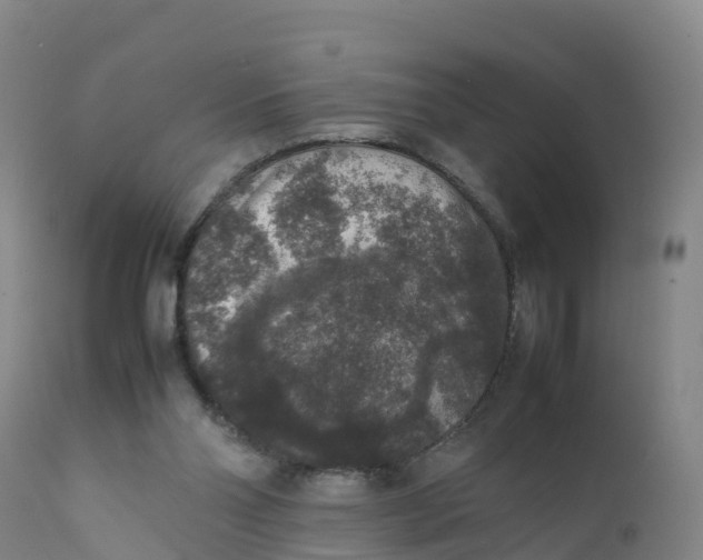 X0000111810110200908131508
