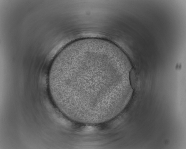 X0000111810111200908131508