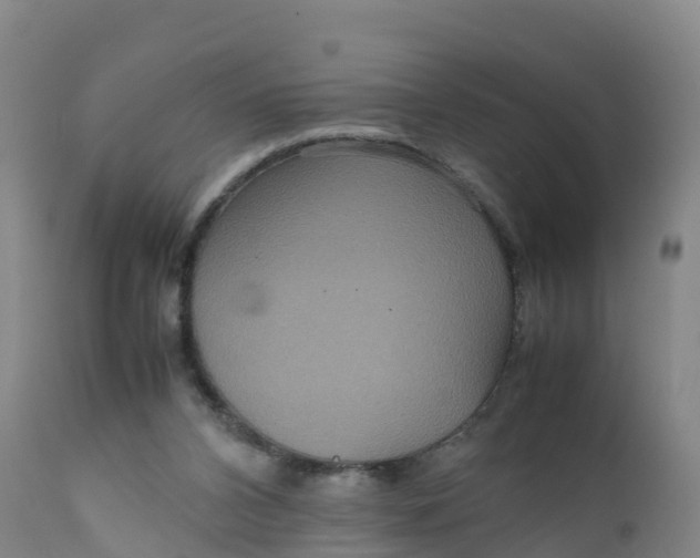 X0000111810112200908131508
