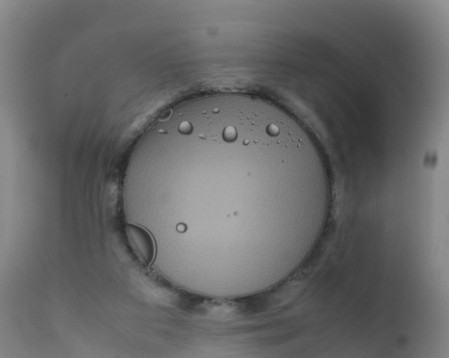 X0000111810113200908131508