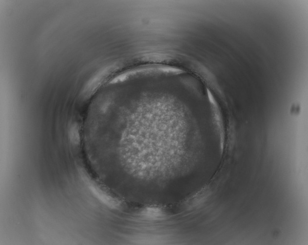 X0000111810114200908131508