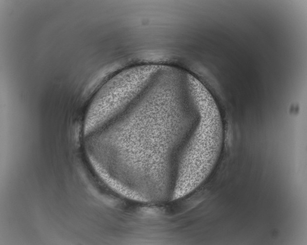 X0000111810115200908131508