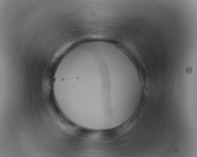 X0000111810116200908131508