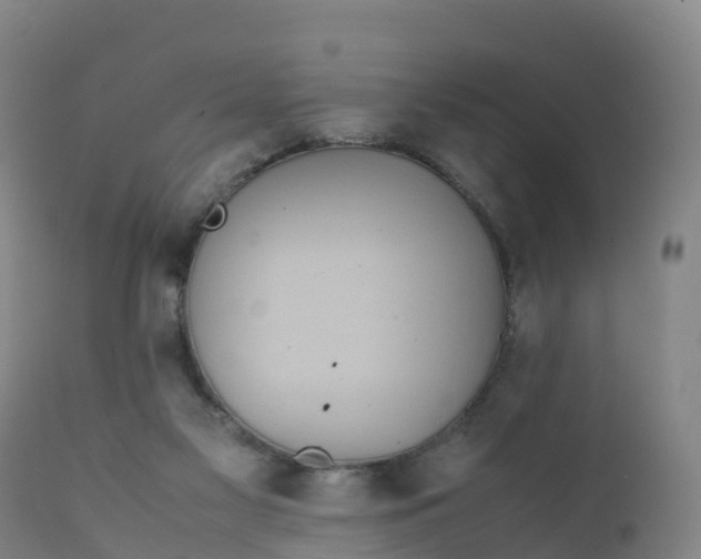 X0000111810117200908131508