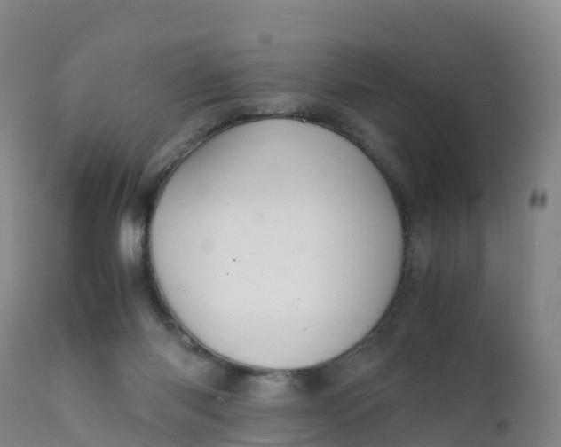 X0000111810118200908131508