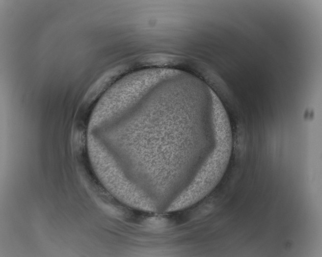 X0000111810119200908131508