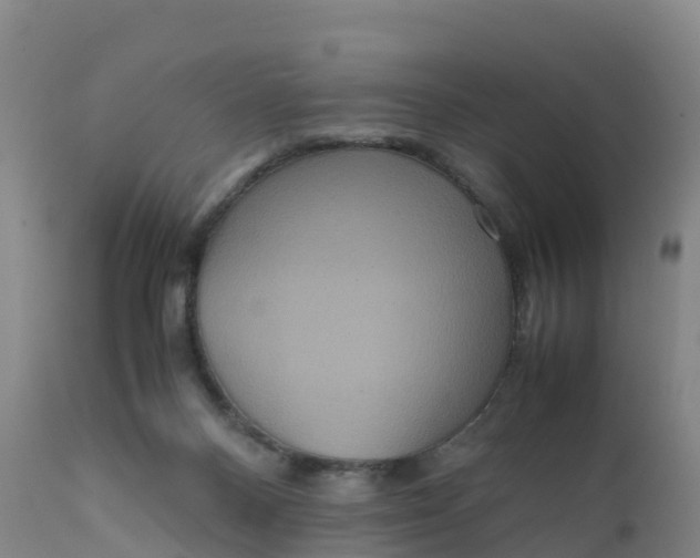 X0000111810120200908131508
