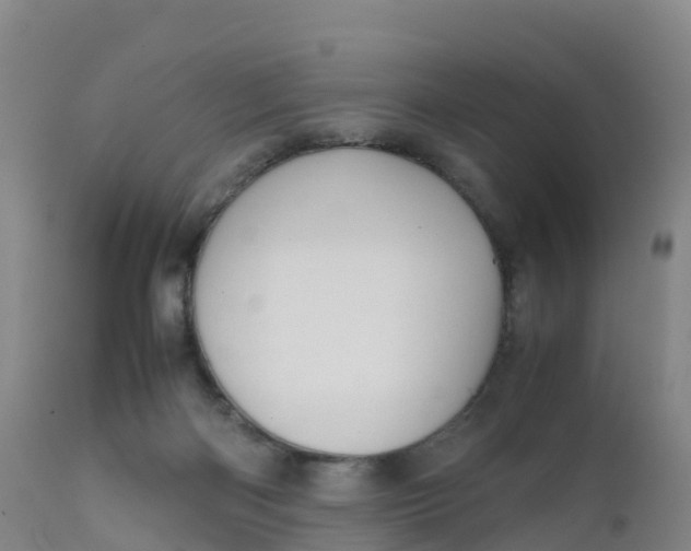 X0000111810122200908131508
