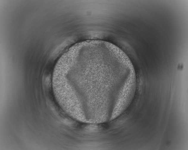 X0000111810123200908131508