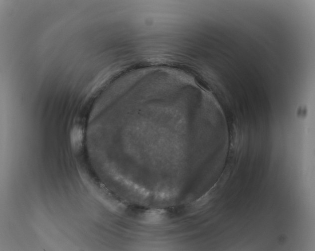 X0000111810124200908131508