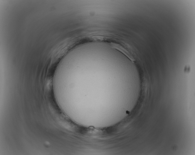 X0000111810125200908131508