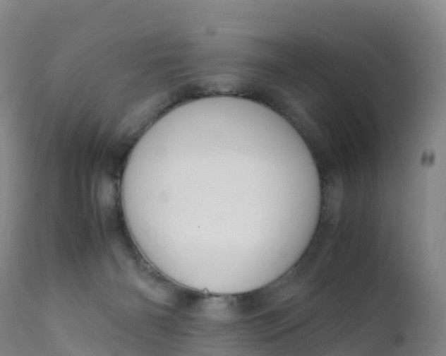 X0000111810126200908131508