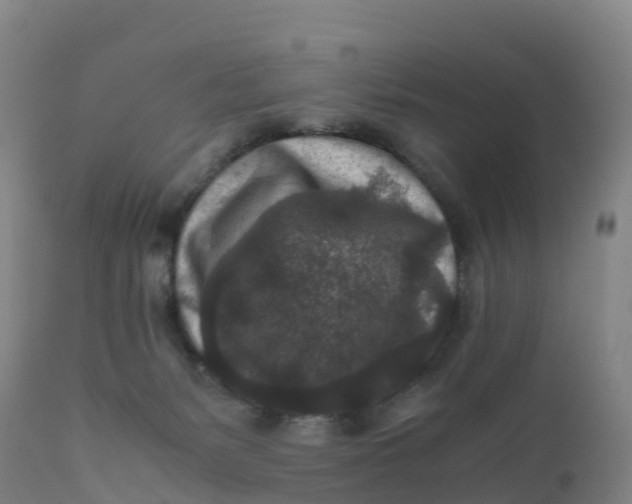 X0000111810127200908131508