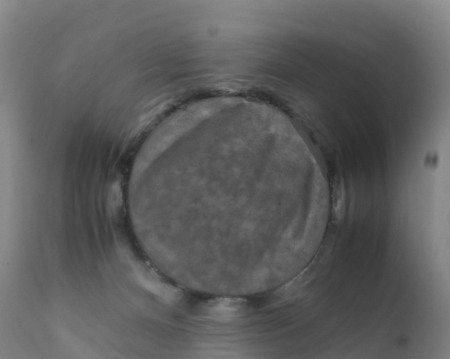 X0000111810128200908131508