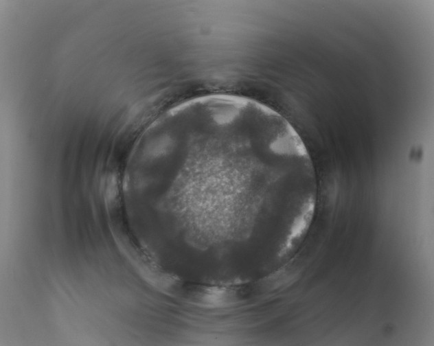 X0000111810130200908131508