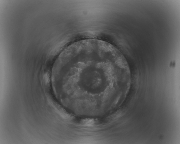 X0000111810131200908131508