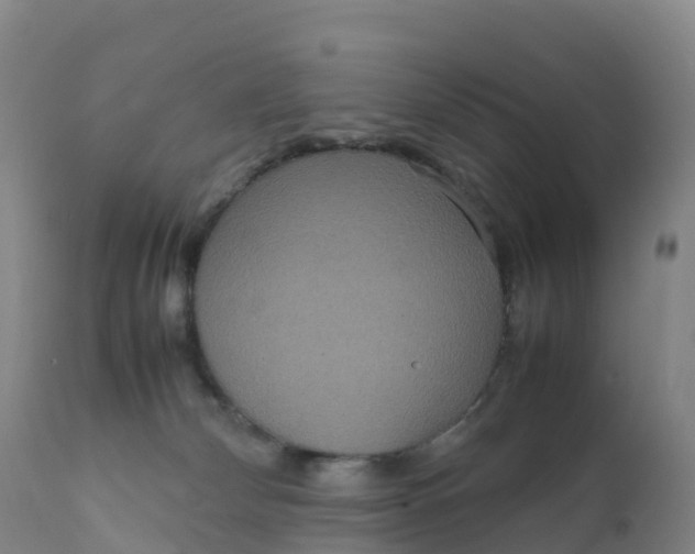 X0000111810132200908131508