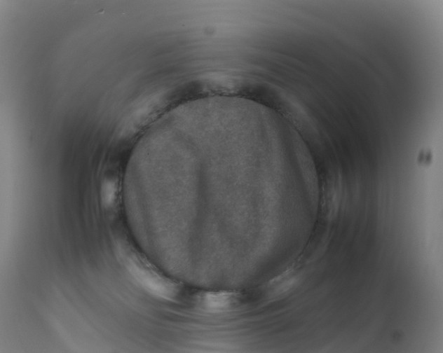 X0000111810134200908131508