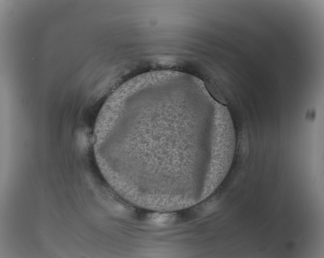 X0000111810135200908131508