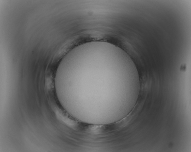 X0000111810136200908131508