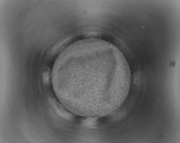 X0000111810138200908131508
