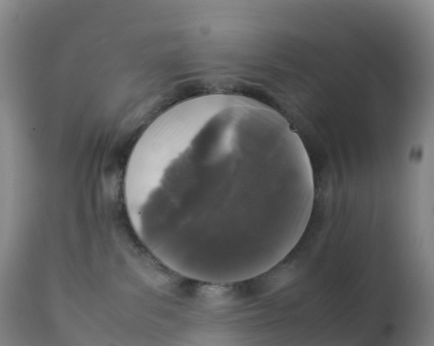 X0000111810139200908131508