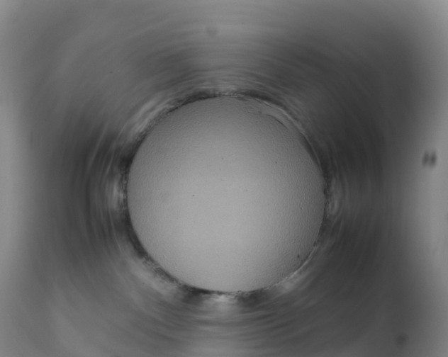 X0000111810140200908131508