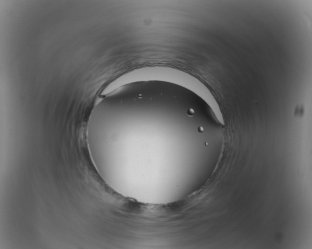 X0000111810141200908131508