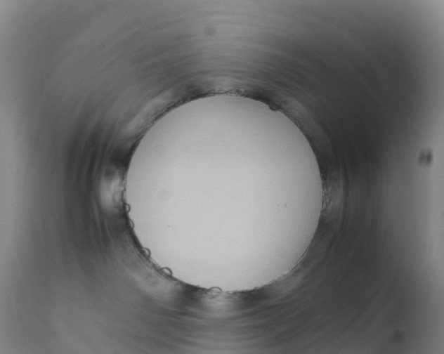 X0000111810142200908131508