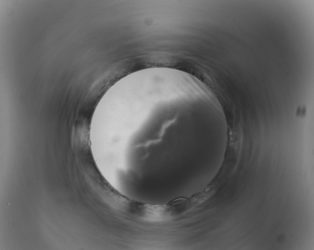 X0000111810143200908131508