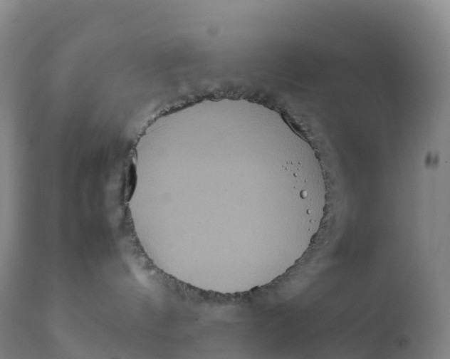 X0000111810144200908131508