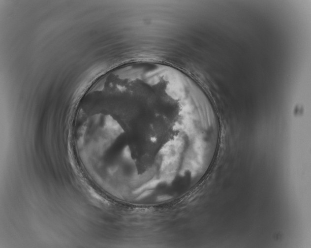 X0000111810145200908131507