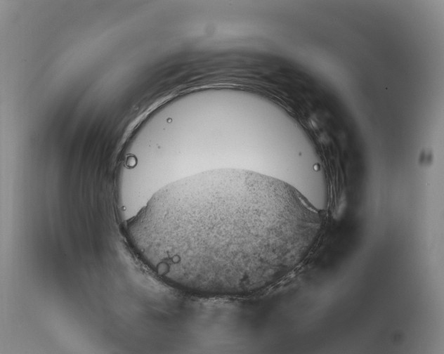 X0000111810146200908131507