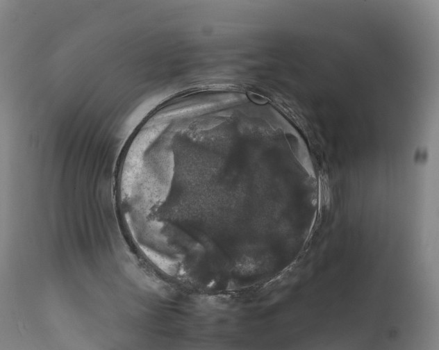 X0000111810147200908131507