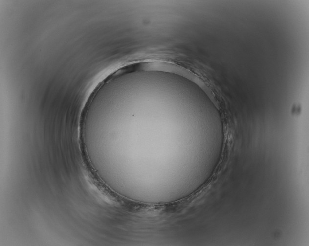X0000111810148200908131507