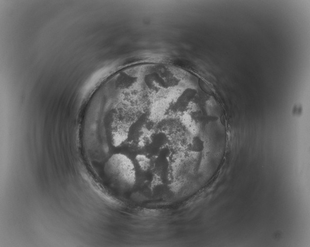 X0000111810149200908131507