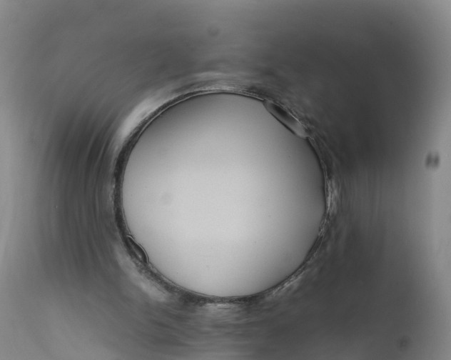 X0000111810150200908131507