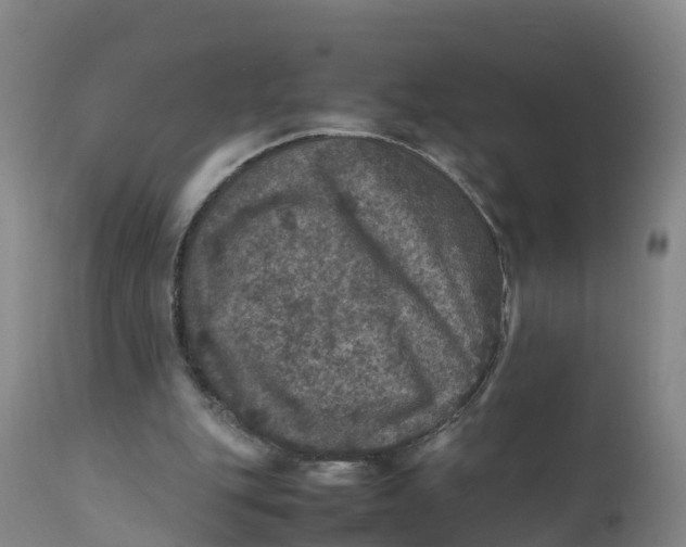X0000111810151200908131507