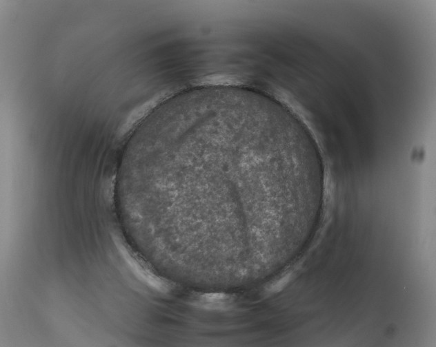 X0000111810153200908131507
