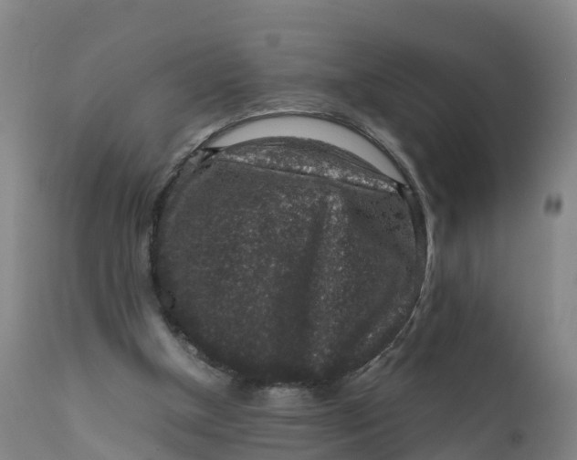 X0000111810154200908131507