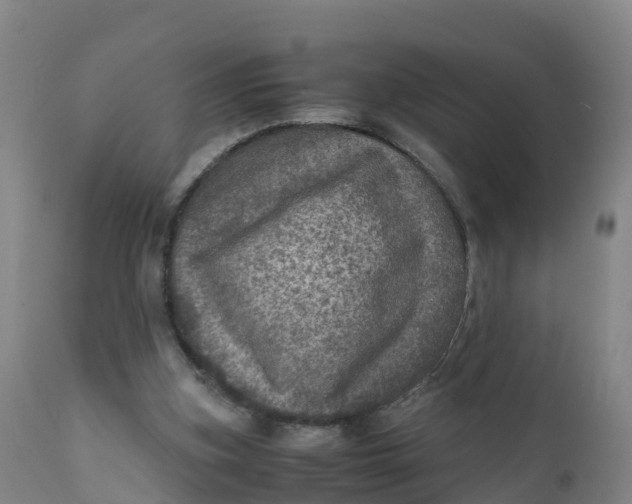X0000111810155200908131507