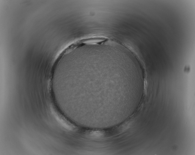 X0000111810156200908131507