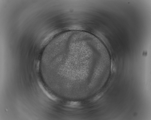 X0000111810157200908131507